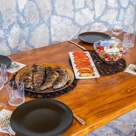 Villa Nesa - Beautiful Guest House At Continental Croatia With Outdoor Swimming Pool, Sauna And 3 Bedrooms Plaški Buitenkant foto
